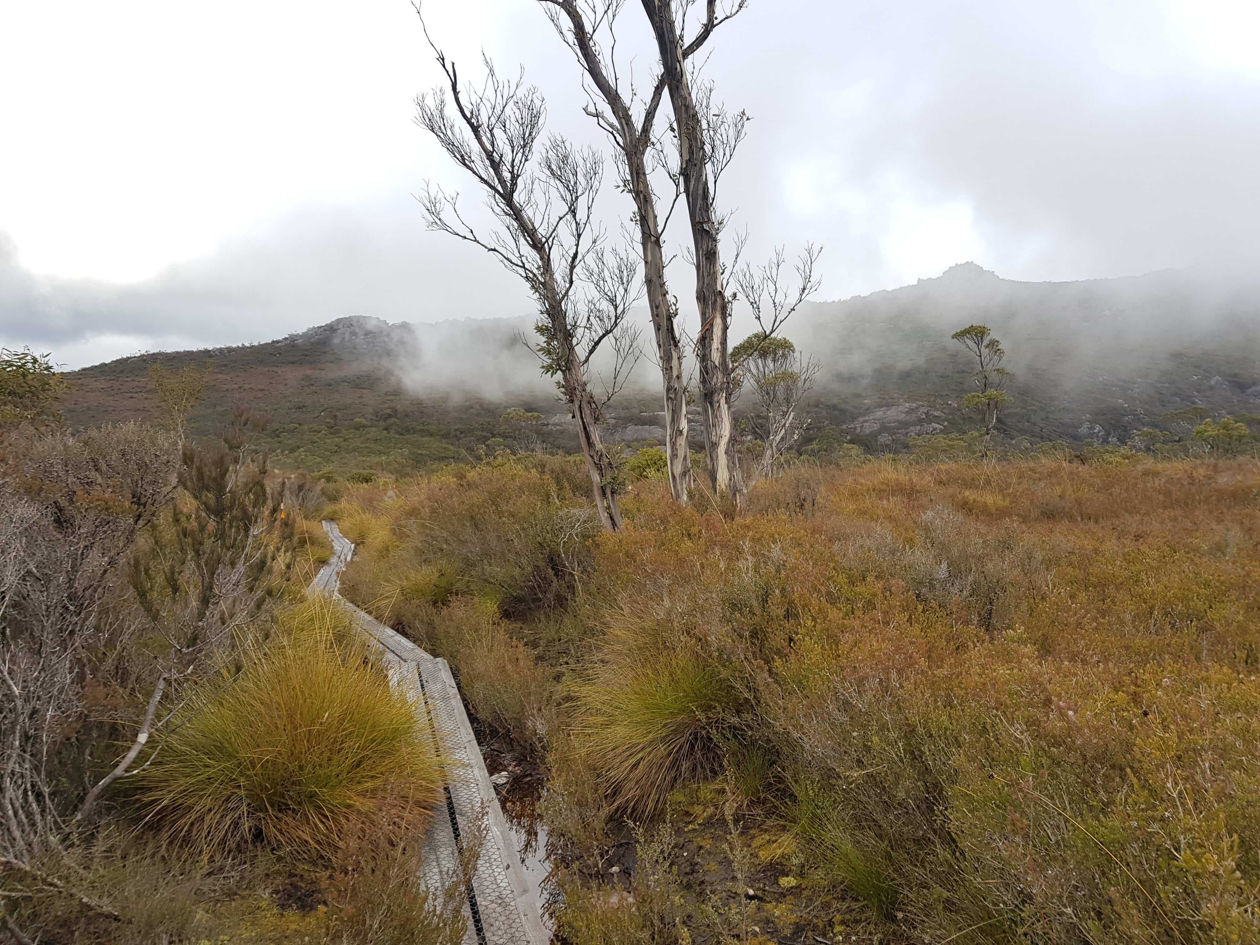 Mt-Roland-hiking-Tasmania