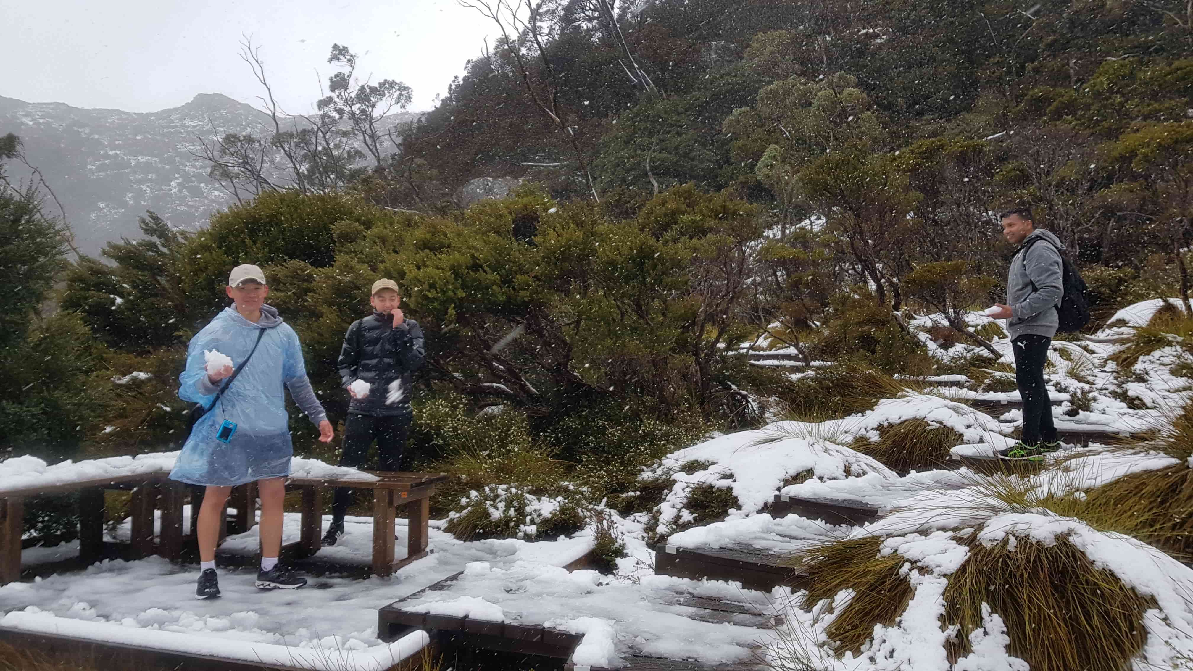 Cradle-mountain-snow