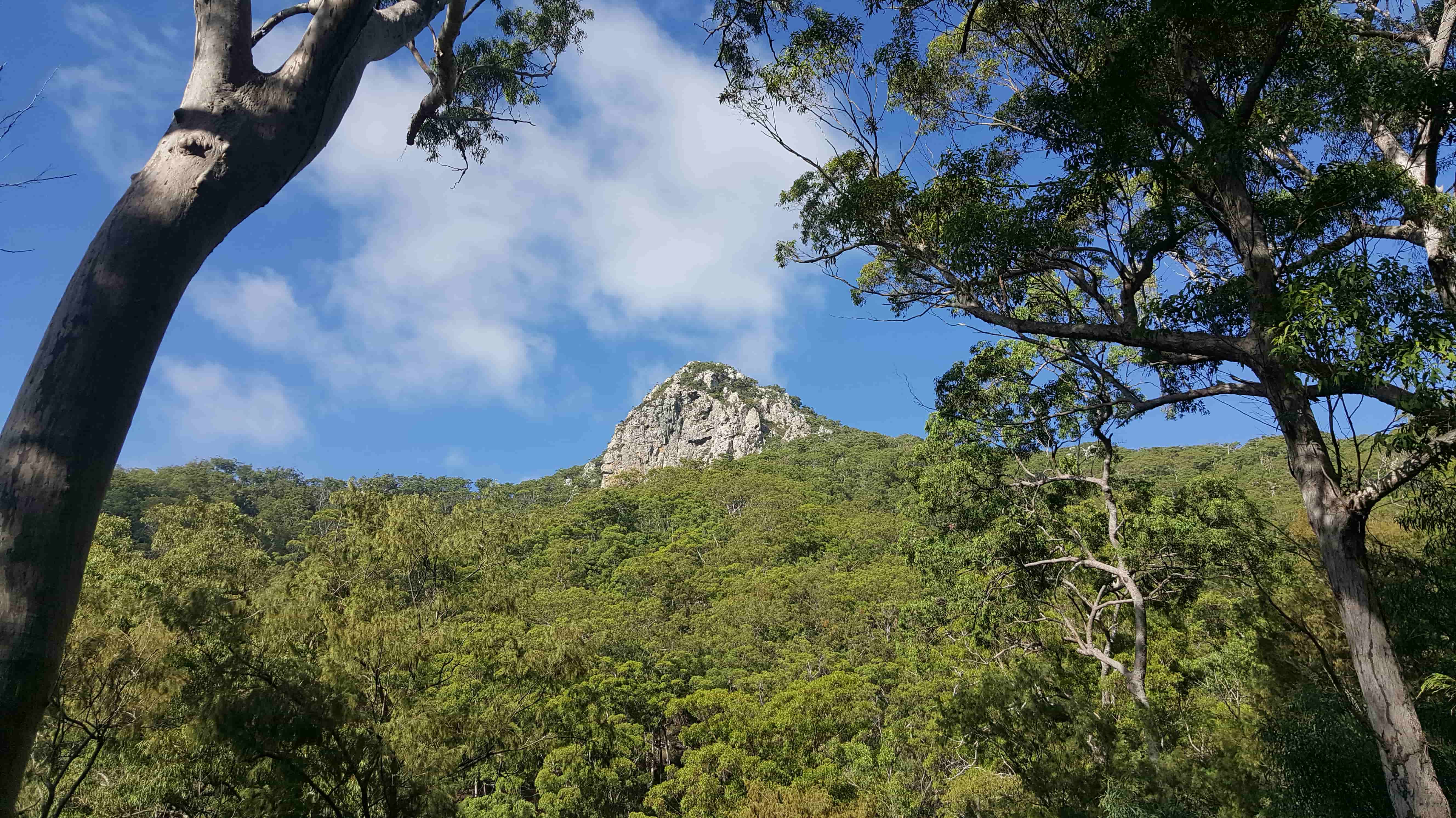 Mt-Larcom-in-Queensland- Australia